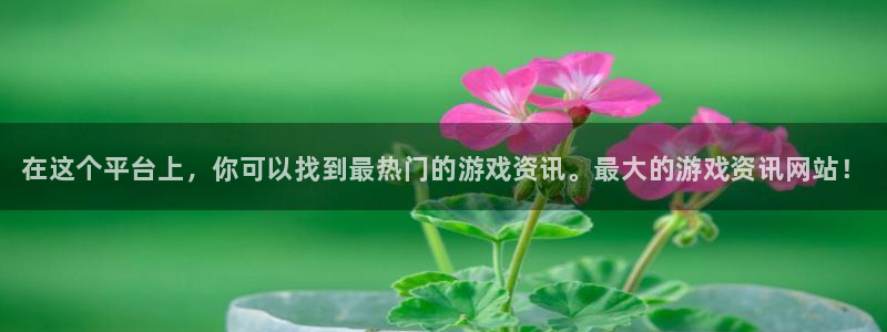 天美娱乐登录：在这个平台上，你可以找到最热门的游戏资讯。最大