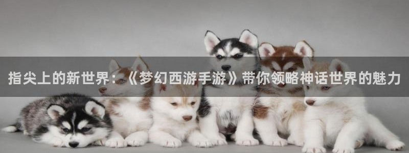 天美娱乐登陆：指尖上的新世界：《梦幻西游手游》带你领略神话世