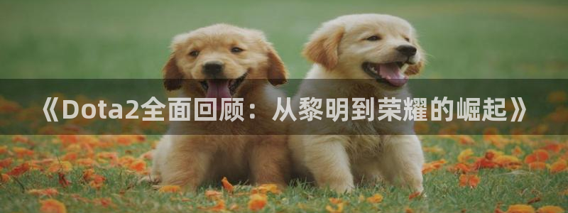 天美娱乐app下载：《Dota2全面回顾：从黎明到荣耀的崛起