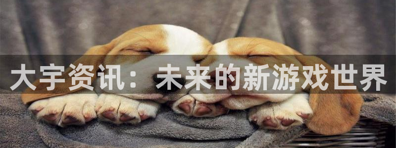 天美娱乐登陆地址：大宇资讯：未来的新游戏世界