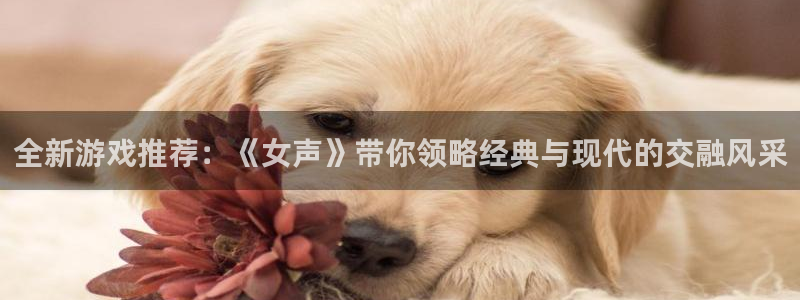 天美娱乐游戏：全新游戏推荐：《女声》带你领略经典与现代的交融