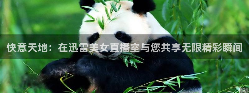 9255tv直播nba在线观看