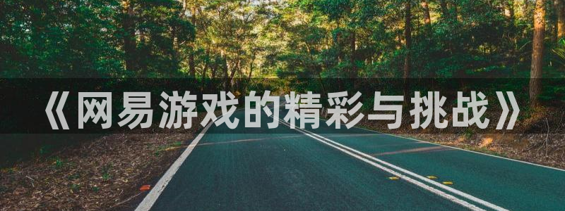 天美娱乐下载：《网易游戏的精彩与挑战》