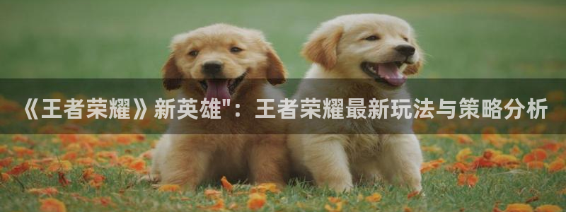 沐春天美娱乐：《王者荣耀》新英雄\