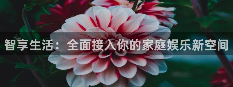 9255tv直播nba在线观看：智享生活：全面接入你的家庭娱乐新空间